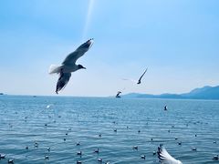 -滇池海埂公园