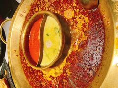 罗宋鸳鸯锅-哥老官重庆美蛙鱼头(五角场合生汇店)