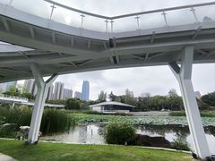 -昆山城市公园