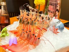 -月龍吟(朝龙汇店)