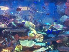 -迪拜帆船酒店海底餐厅