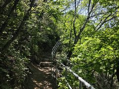 -云蒙山风景区