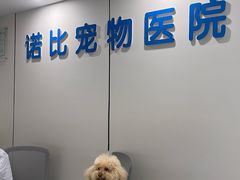 -诺比宠物医院心脏内科·泌尿肾内外科·骨科急重症