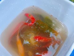 -洪湖家庭农场·团建·露营·会议