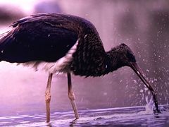 -奥斯卡西元国际影城(4K激光巨幕&杜比全景声沙发座椅)