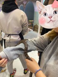 -Moni星球萌宠·小马宝莉·灵蛇·高端高阶全萌宠互动体验俱乐部(红豆国际广场店)