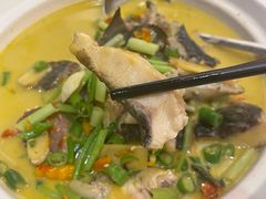 -饭怕鱼·黄焖鲟龙鱼(湖大店)