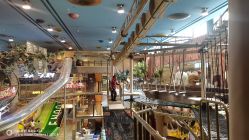 -卡通尼·Safari非洲探索乐园·生日会(金桥国际商业广场店)