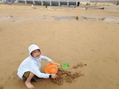 -日照海滨国家森林公园