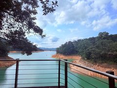 -广州市流溪河国家森林公园