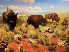 -陕西自然博物馆