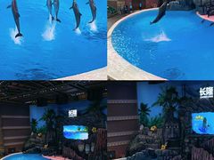 -珠海长隆海洋王国