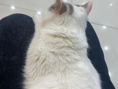 -万达广场(南京江宁店)