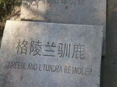 android_upload_pic-北京麋鹿生态实验中心