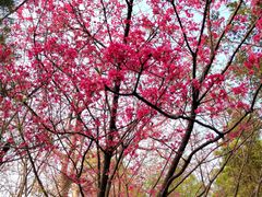 -广州雕塑公园