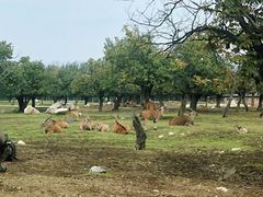 -西安秦岭野生动物园