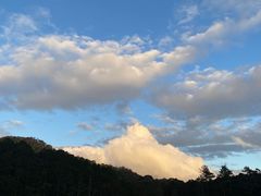 -海南热带雨林国家公园吊罗山景区