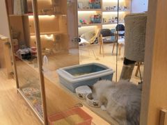 -Pets First伊珊娜洗护·精致美容·家庭式寄养(新会路店)