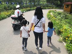-东郊湿地公园