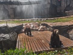 -海南热带野生动植物园
