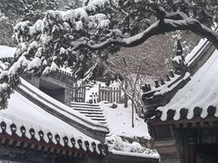 -北京凤凰岭