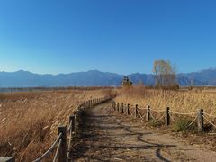 -野鸭湖国家湿地公园