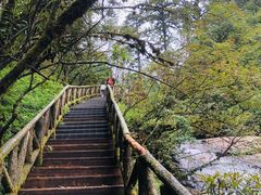 -龙苍沟森林公园