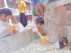 -宝燕乐园(闵行旗舰店)