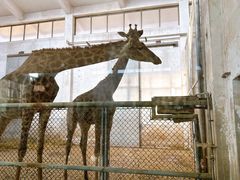 -石家庄市动物园