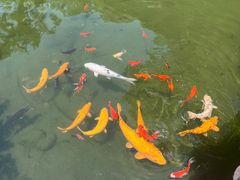 -苏州上方山国家森林公园