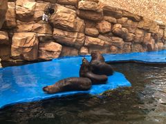 -华夏文旅海洋公园