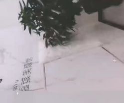 -婳彧美颜馆