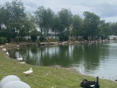 -长春市南湖公园