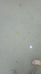 -皇家月府月子中心(沈阳店)