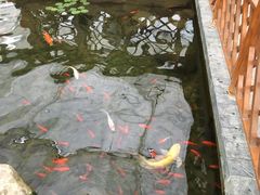 -汤山翠谷生态餐厅
