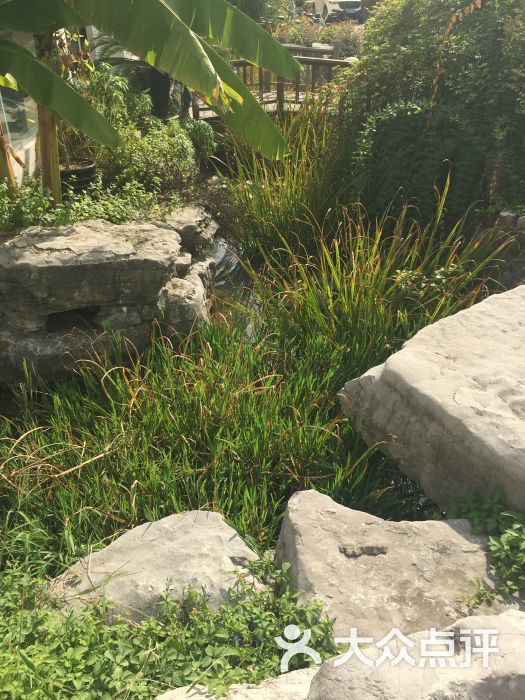 靖海公园-图片-无锡周边游-大众点评网