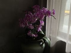 -LUMOS卢莫斯融合料理餐厅