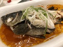 清蒸石斑鱼-天元坊(梁溪店)