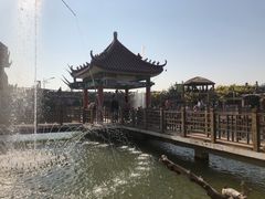 -呀路古热带植物园