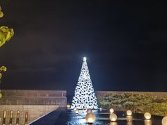 -柏悦酒店-沁园牛排海鲜西餐厅
