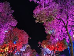 -海澜飞马水城