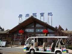 -东平国家森林公园