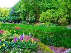 -上海共青森林公园