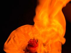 -当米亚诺意大利餐厅(武汉光谷凯悦酒店)