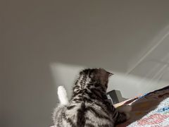 -宠颐生·恒爱宠物医院(静海店)