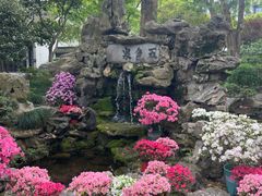 -上海醉白池公园