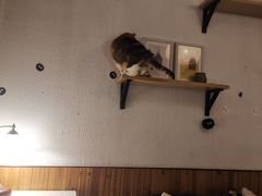 -隅cafe(傅厚岗店)