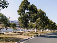 -七天萌宝·玛利娅蒙特梭利国际儿童之家(夏驾汇校区)