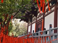 -西安青龙寺遗址景区