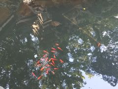 -普陀山风景名胜区-法雨禅寺